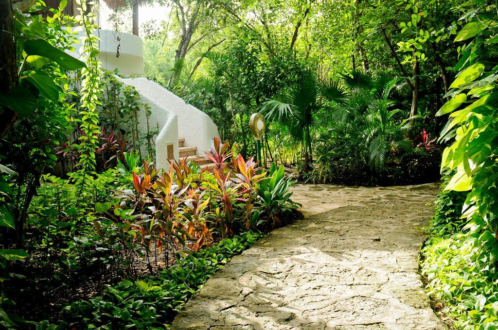 Amarte Maroma Hotel Eco Boutique Spa Punta Maroma Kültér fotó