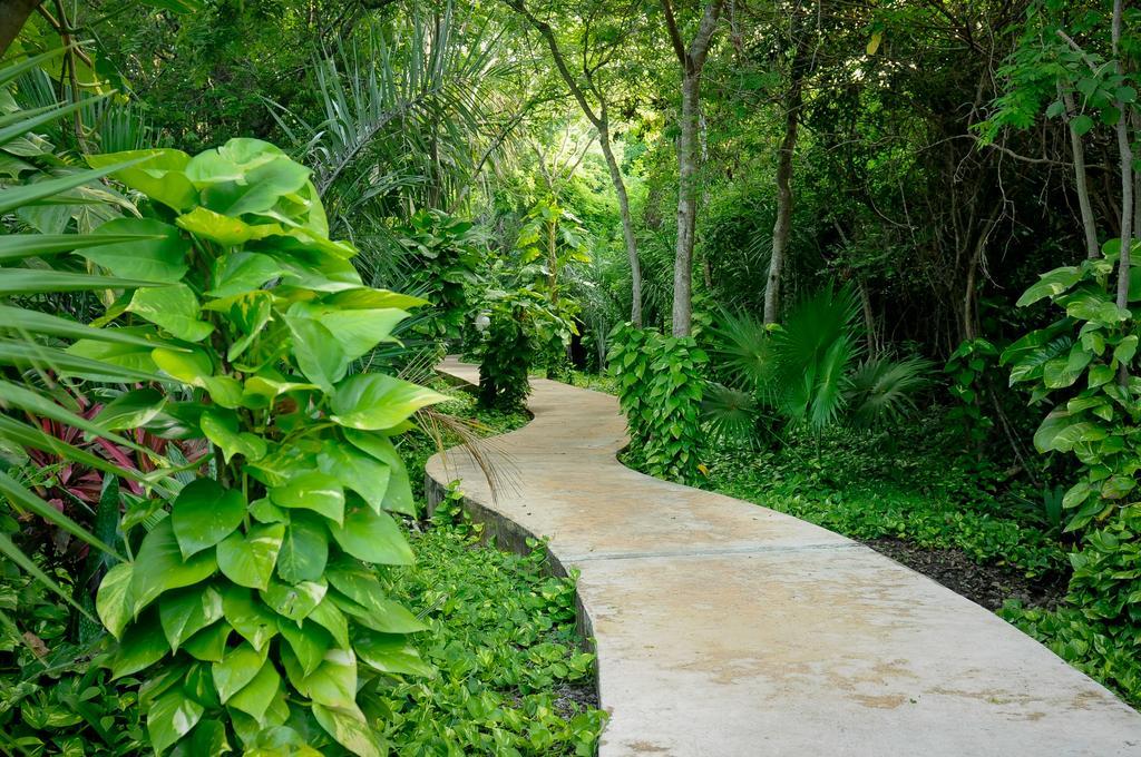 Amarte Maroma Hotel Eco Boutique Spa Punta Maroma Kültér fotó