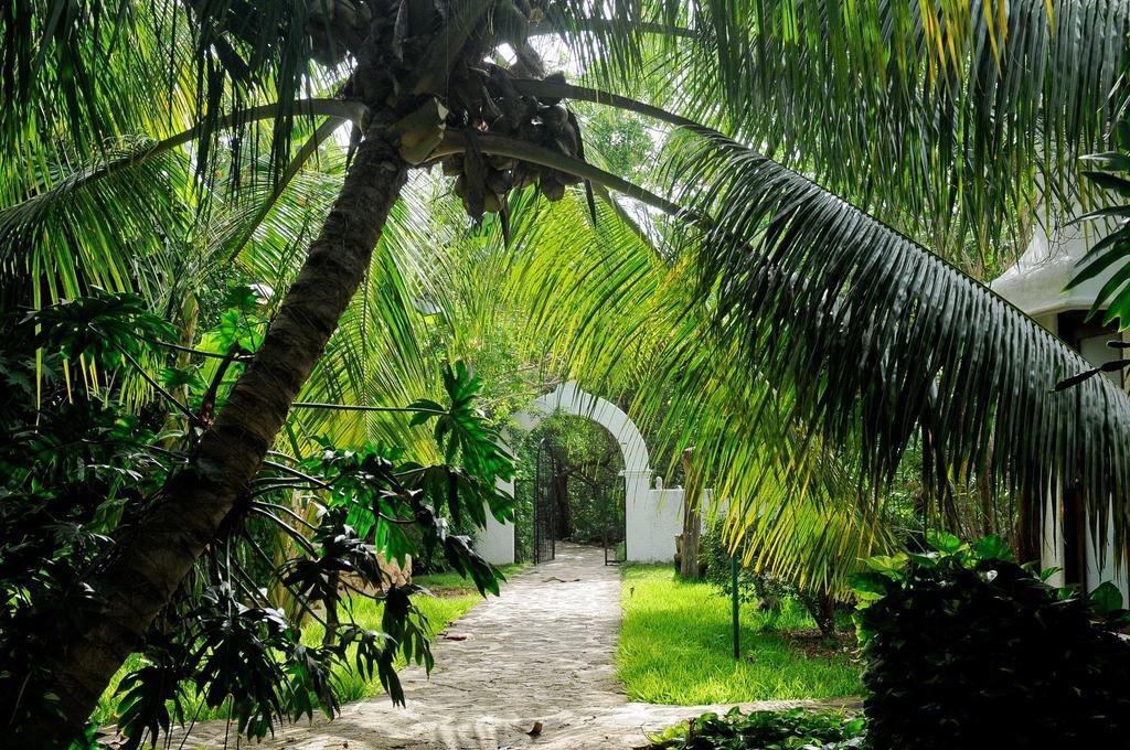 Amarte Maroma Hotel Eco Boutique Spa Punta Maroma Kültér fotó