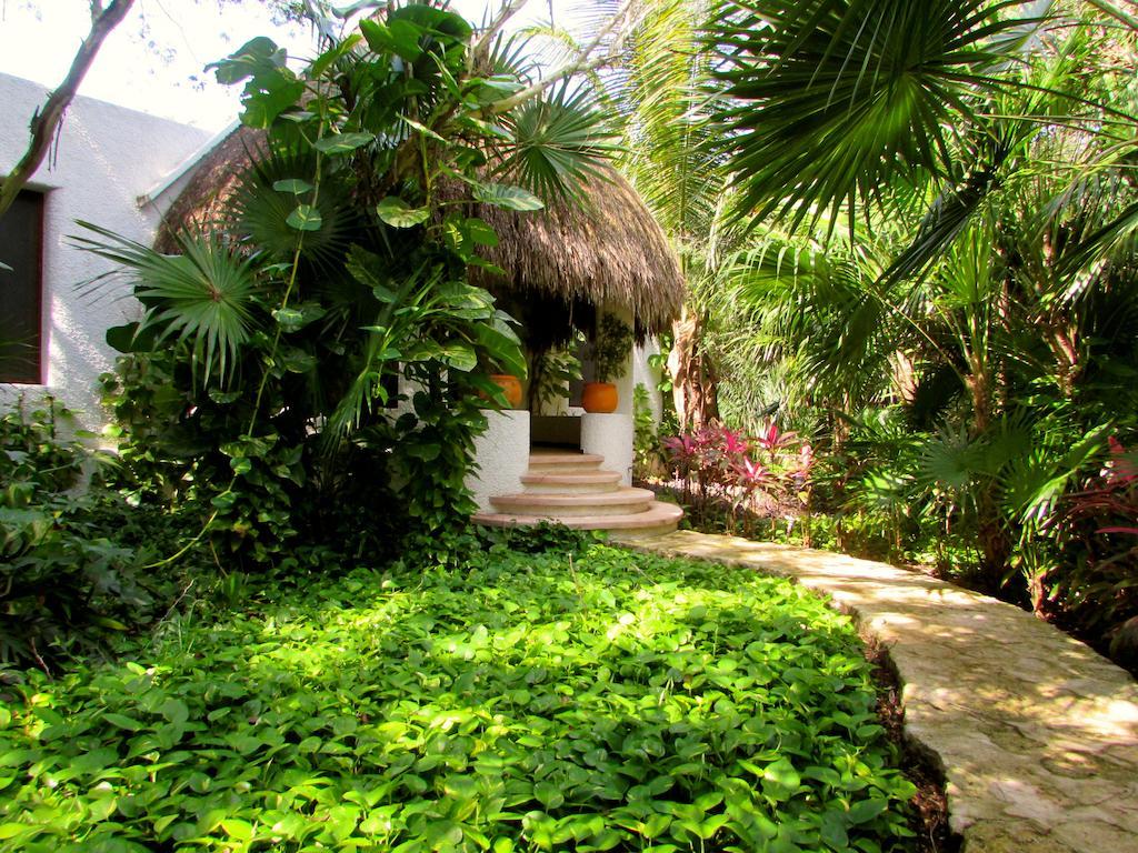 Amarte Maroma Hotel Eco Boutique Spa Punta Maroma Kültér fotó