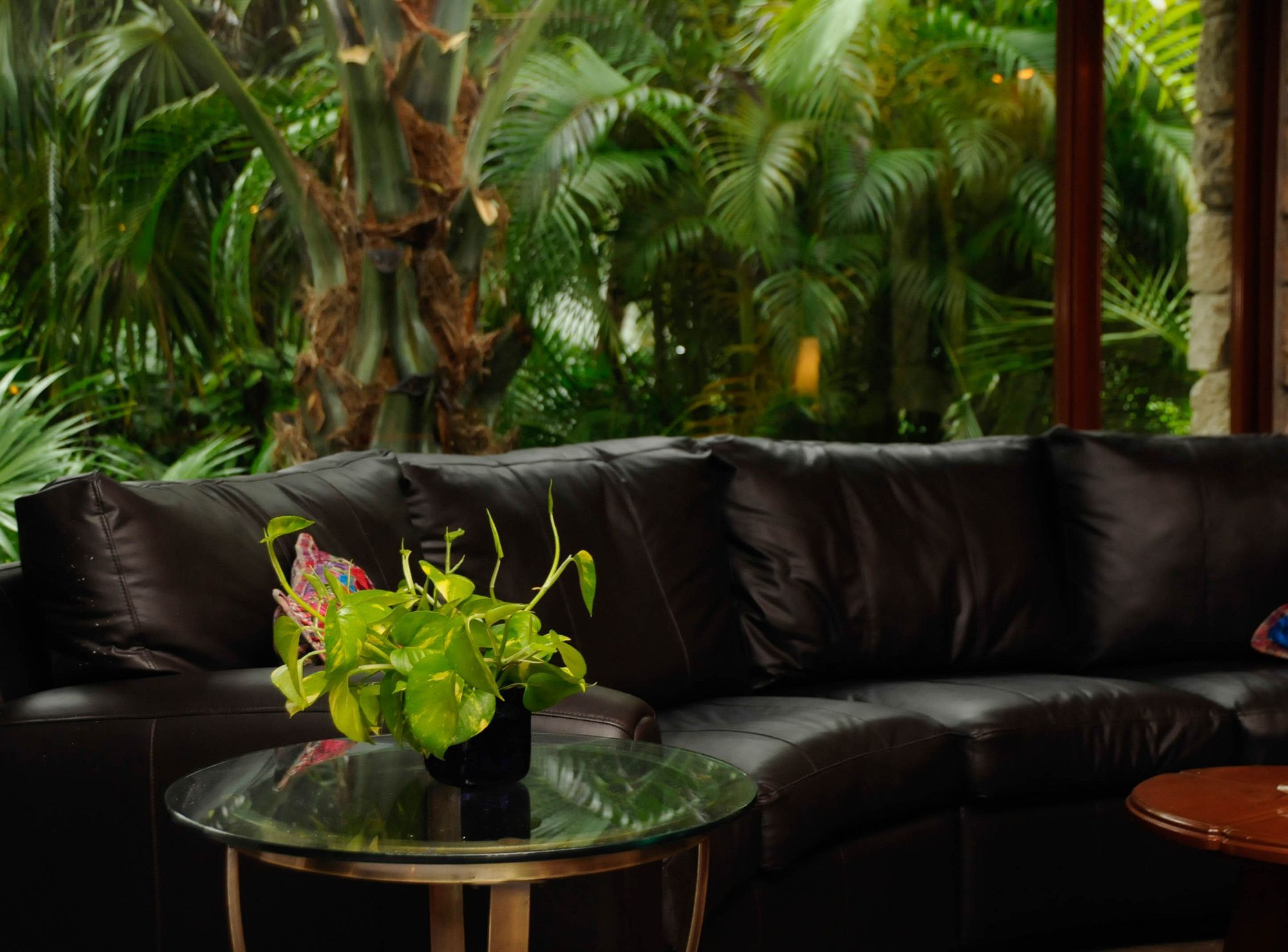 Amarte Maroma Hotel Eco Boutique Spa Punta Maroma Kültér fotó